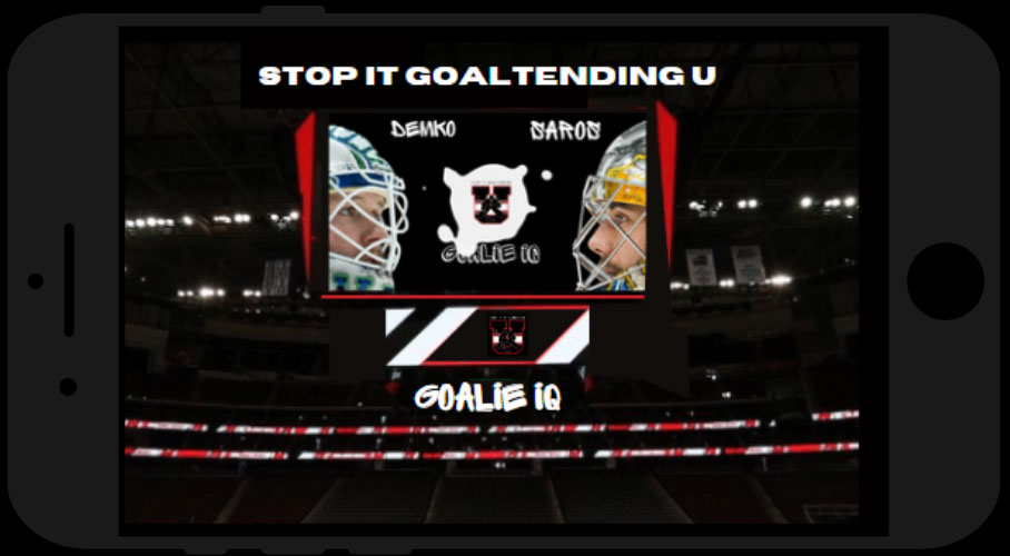 Goalie-IQ